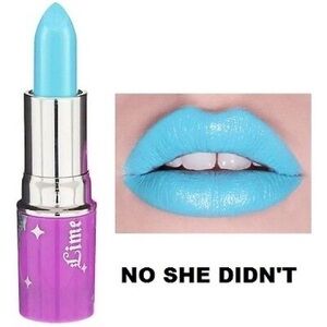 NWOT Lime Crime NO SHE DIDN’T lipstick